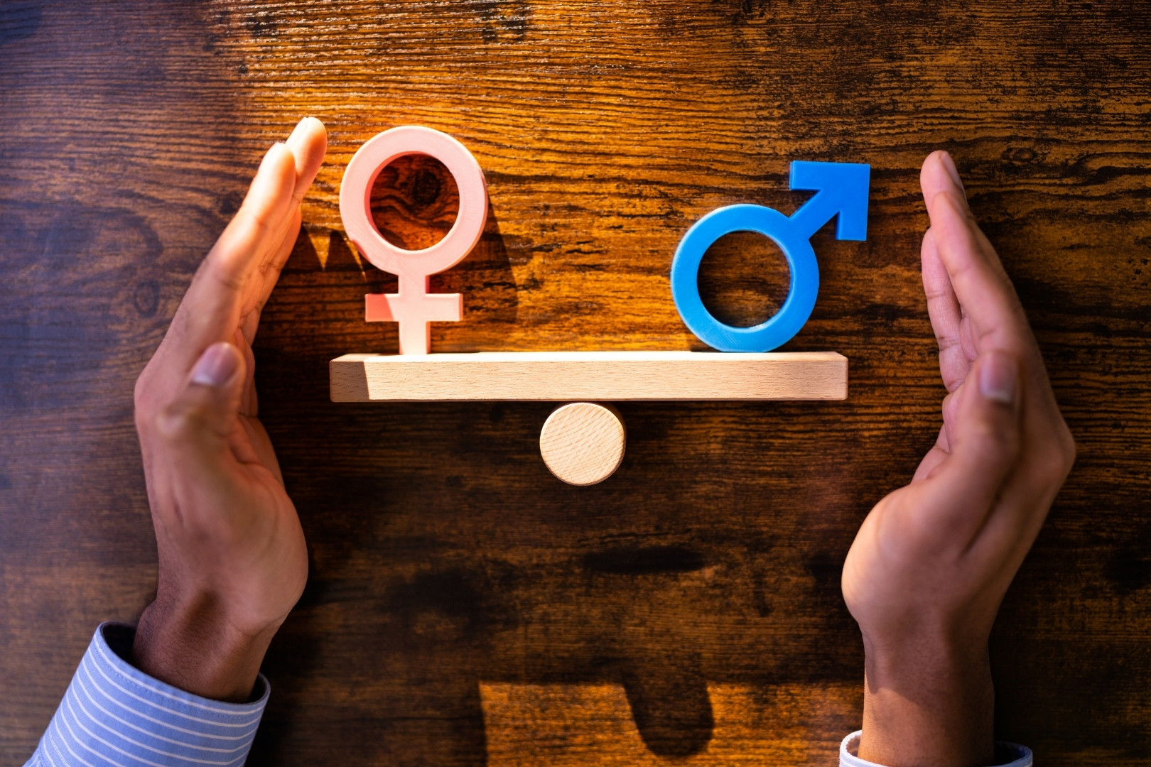 İnsan Hakları Temelinde İşletmelerde Cinsiyet Eşitliği Eğitimi